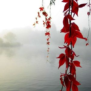 Meet your Posher, Jeff